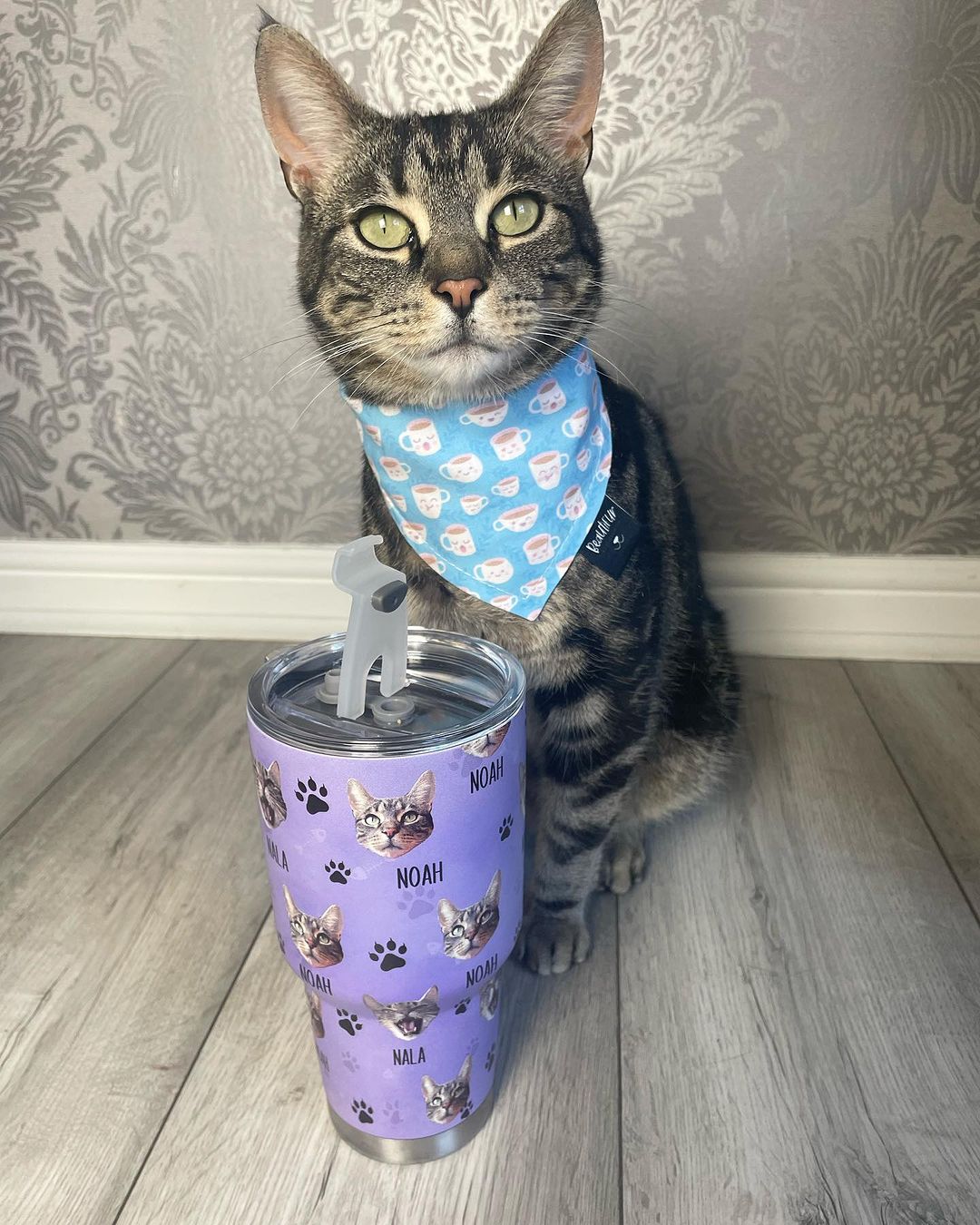 Custom Dog Cat Photo With Name Tumbler, Pet Lover Gift AA