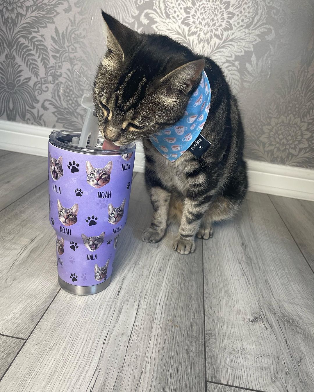 Custom Dog Cat Photo With Name Tumbler, Pet Lover Gift AA