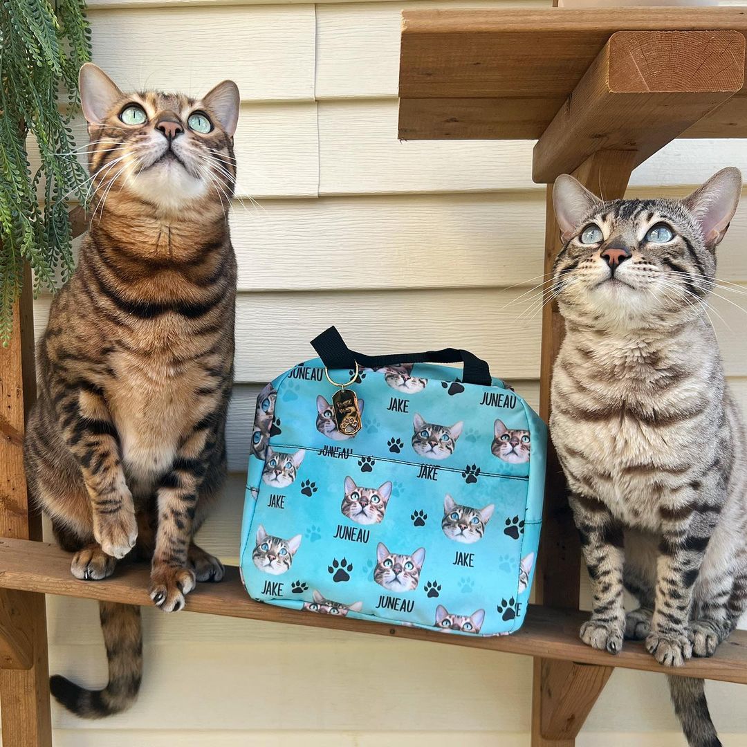 Custom Paws With Dog Cat Photo Lunch Bag, Pet Lover Gift AI