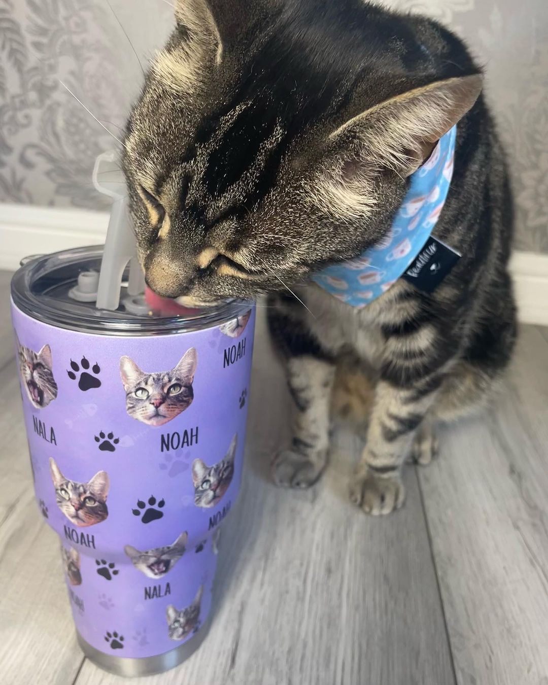 Custom Dog Cat Photo With Name Tumbler, Pet Lover Gift AA