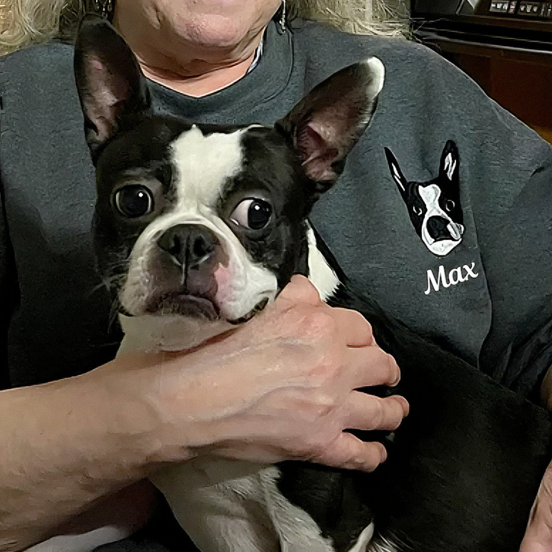 Personalized Embroidered T-shirt - Gift For Pet Lovers - Embroidery Dog Cat Face Photo CustomCat