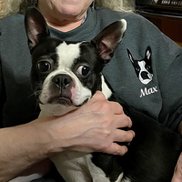 Thumbnail for Personalized Embroidered T-shirt - Gift For Pet Lovers - Embroidery Dog Cat Face Photo CustomCat