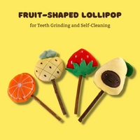 Thumbnail for Fruit Hat & Molar Stick Set for Pets: Fun Photography Accessories, Cat Supplies JonxiFon