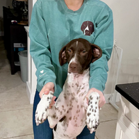 Thumbnail for Personalized Embroidered T-shirt - Gift For Pet Lovers - Embroidery Dog Cat Face Photo CustomCat