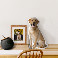 Thumbnail for Custom Shape Plush Pillow Case - Gift For Dog Cat Lovers - Cute Pet Photo Pillow Cushions AC