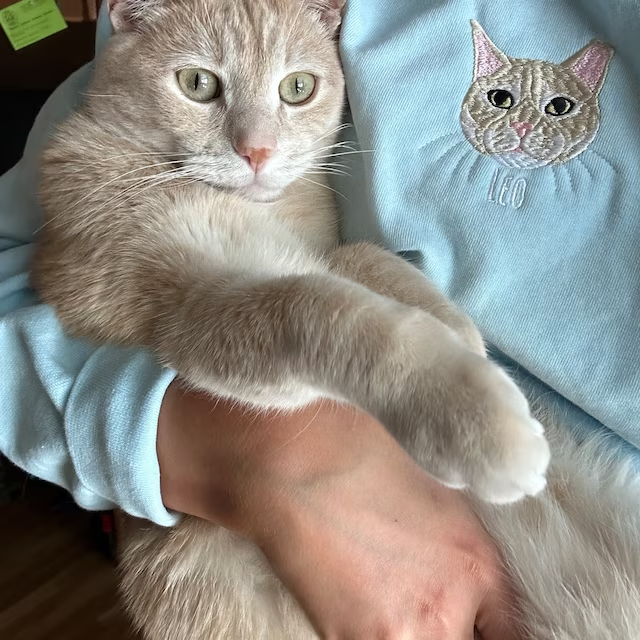 Personalized Embroidered T-shirt - Gift For Pet Lovers - Embroidery Dog Cat Face Photo CustomCat