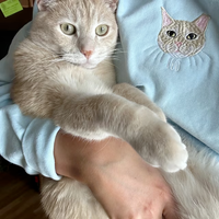 Thumbnail for Personalized Embroidered T-shirt - Gift For Pet Lovers - Embroidery Dog Cat Face Photo CustomCat