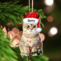 Thumbnail for Personalized Acrylic Ornament - Christmas Gift For Pet Lover - Pet Photo Christmas Hat AE