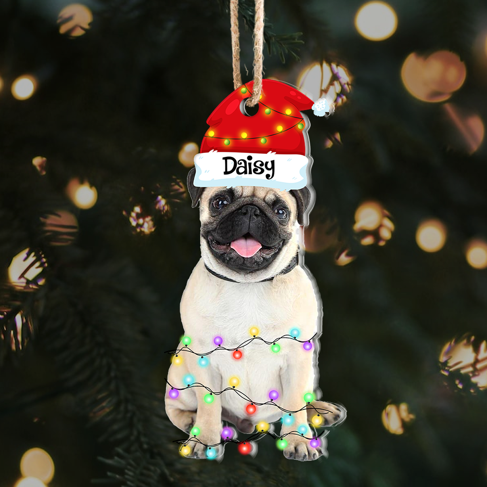 Personalized Acrylic Ornament - Christmas Gift For Pet Lover - Pet Photo Christmas Hat AE