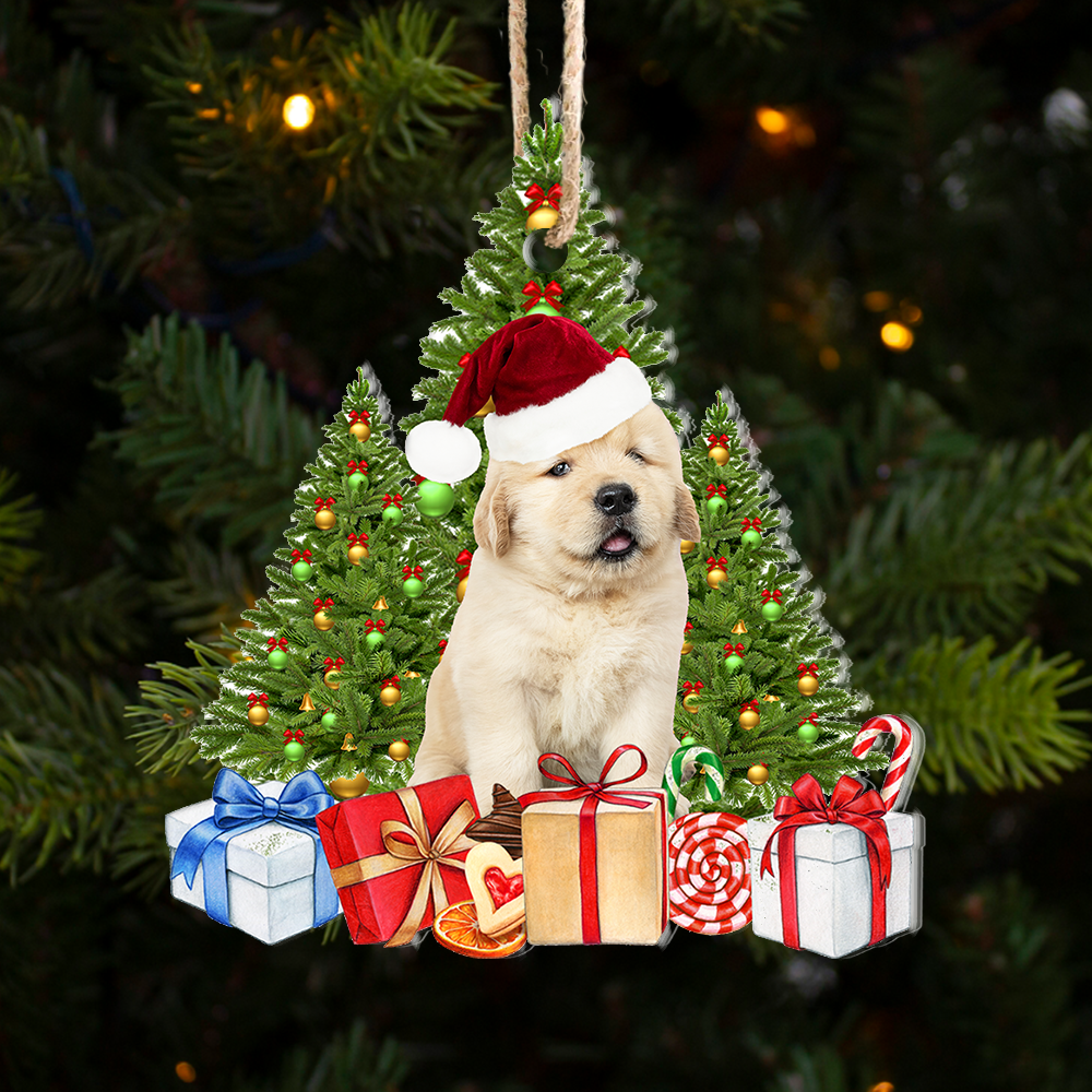 Personalized Acrylic Ornament - Christmas Gift For Pet Lovers - Upload Pet Photo Christmas Tree AC