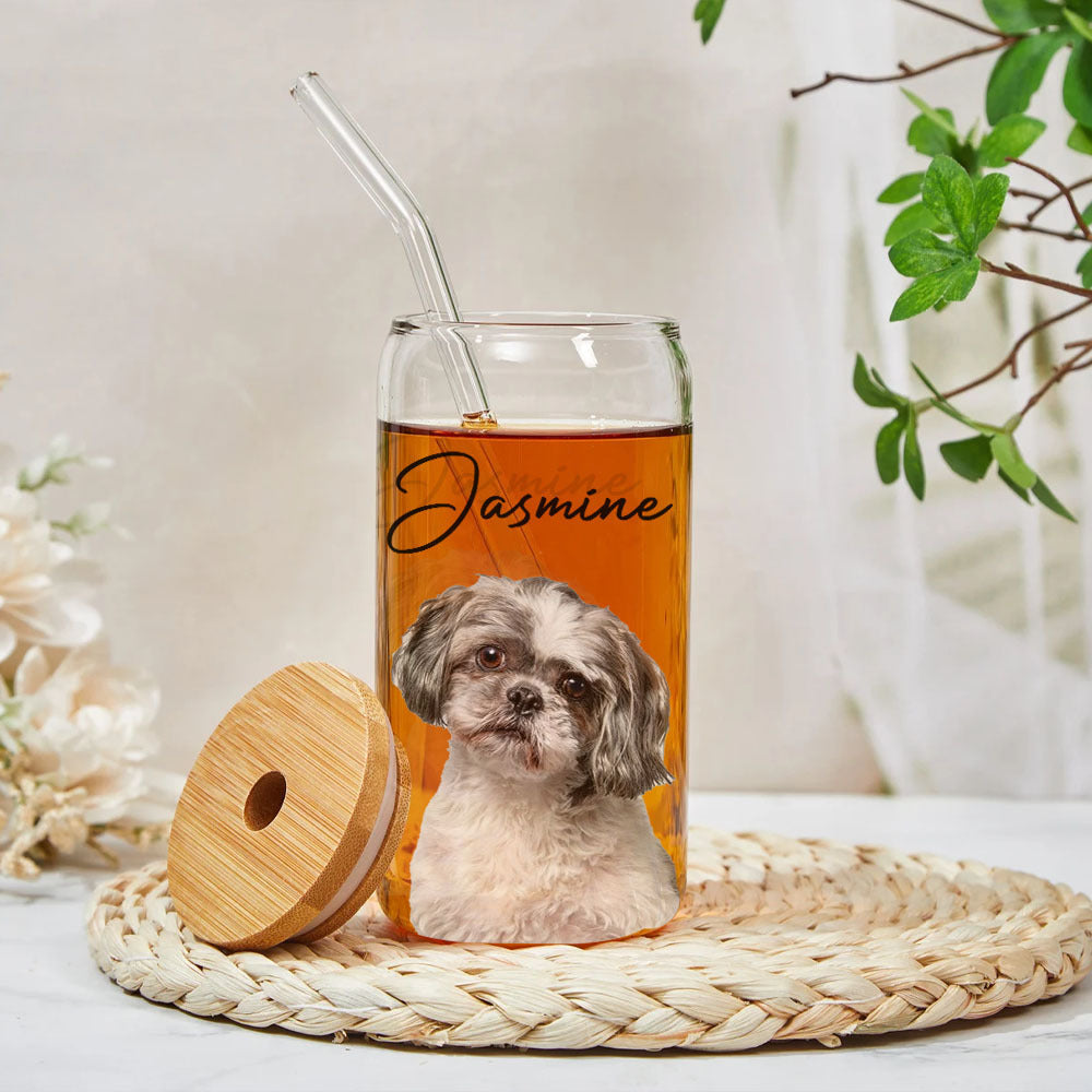 Custom Portrait Photo Glass Can With Lid & Straw, Pet Lover Gift FC