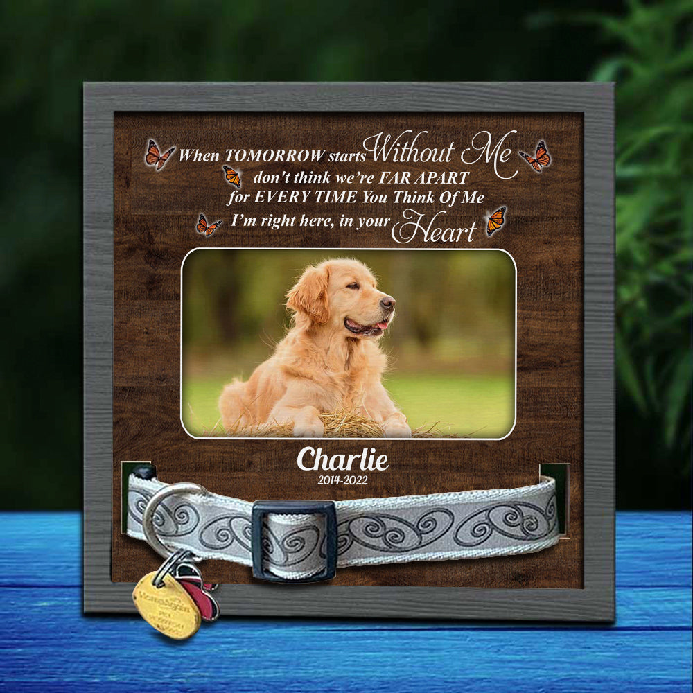 When Tomorrow Starts  Without Me Pet memorial Pet Loss - Pet Collar Holder AA