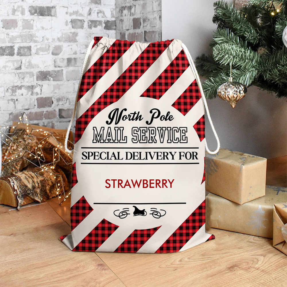 Personalized Christmas Mail Service Delivery Family Christmas Bag, Christmas Gift AB