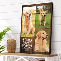 Thumbnail for Gone But Not Forgotten - Personalized Pet Memorial Canvas AK