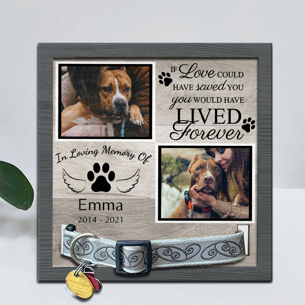 Two Photos Pet memorial Pet Loss - Pet Collar Holder AA