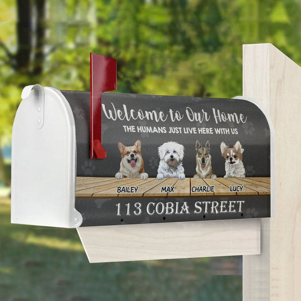 The Humans just live here with us - Mailbox cover AF