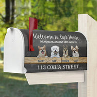 Thumbnail for The Humans just live here with us - Mailbox cover AF