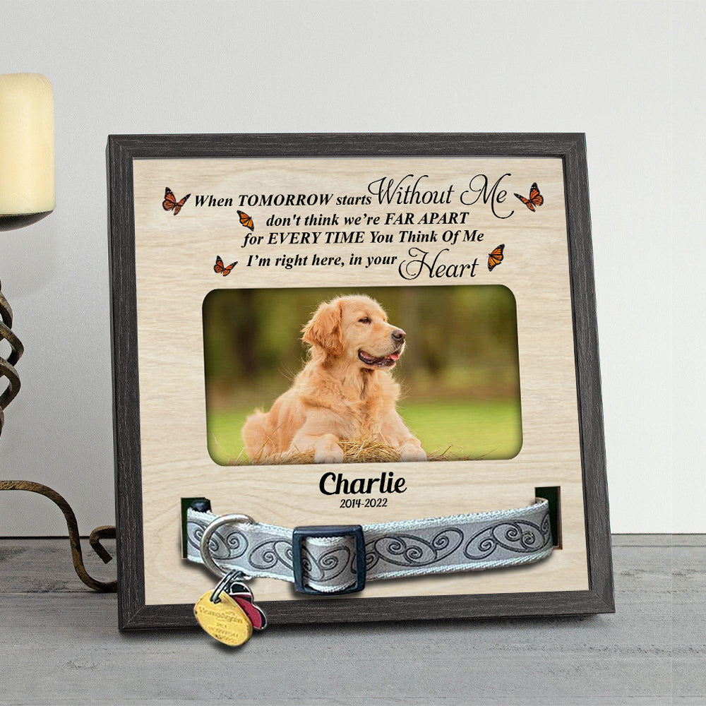 When Tomorrow Starts  Without Me Pet memorial Pet Loss - Pet Collar Holder AA