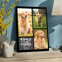 Thumbnail for Gone But Not Forgotten - Personalized Pet Memorial Canvas AK