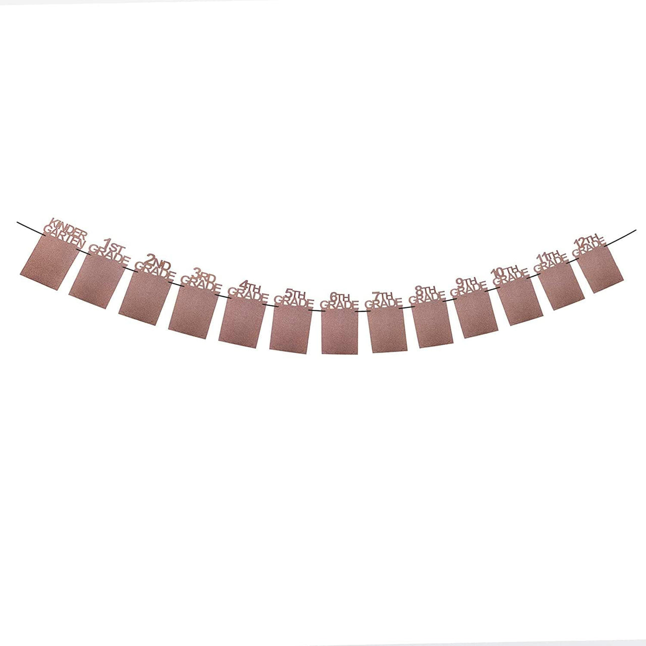 Graduation Photo Banner for 2025 Party Decorations,K-12 School Pictures FC