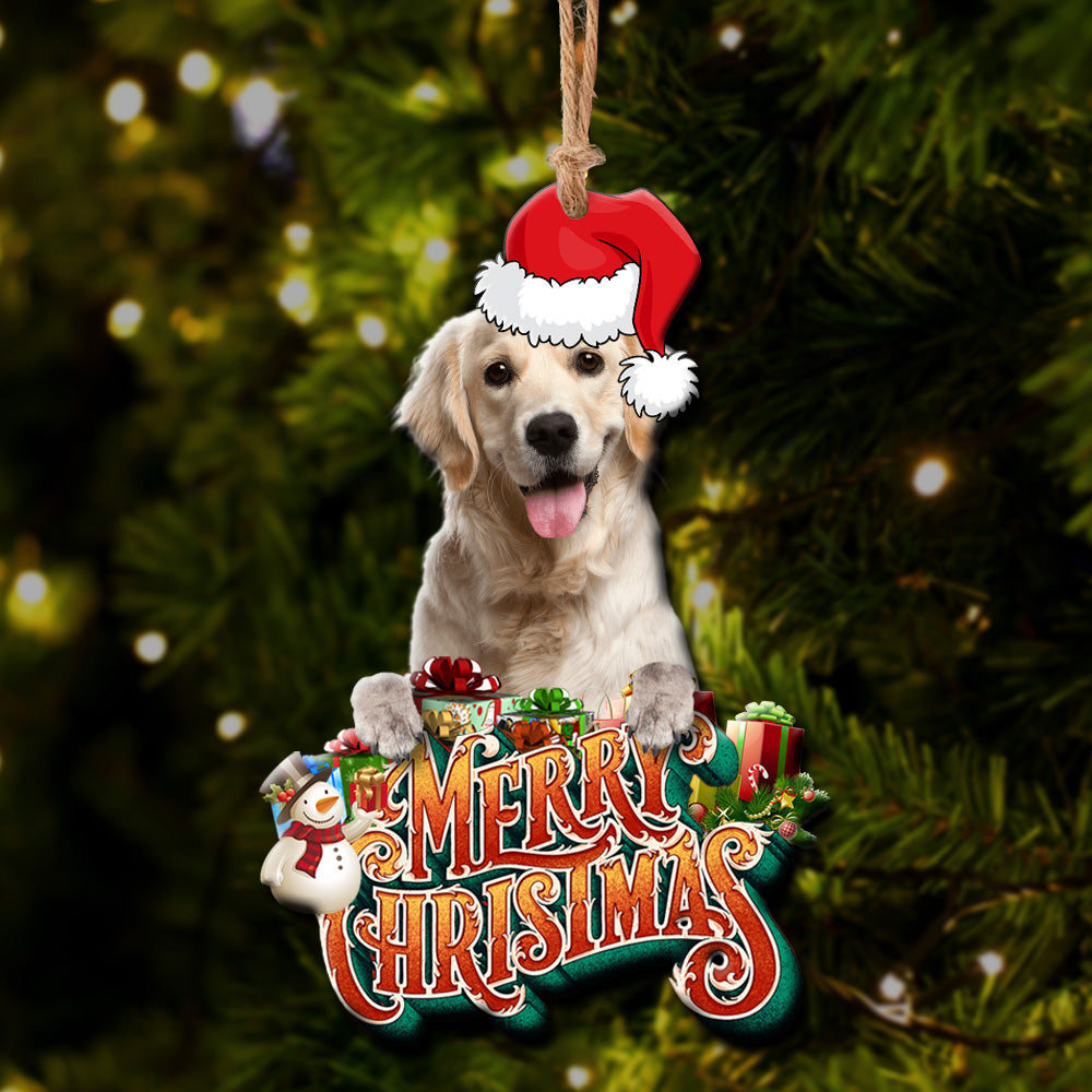 Pet Upload Photo Christmas Custom Shape Acrylic Ornament, Gift for Cat, Dog Lovers AE