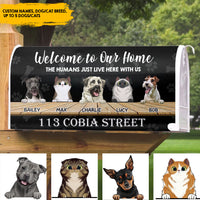 Thumbnail for The Humans just live here with us - Mailbox cover AF