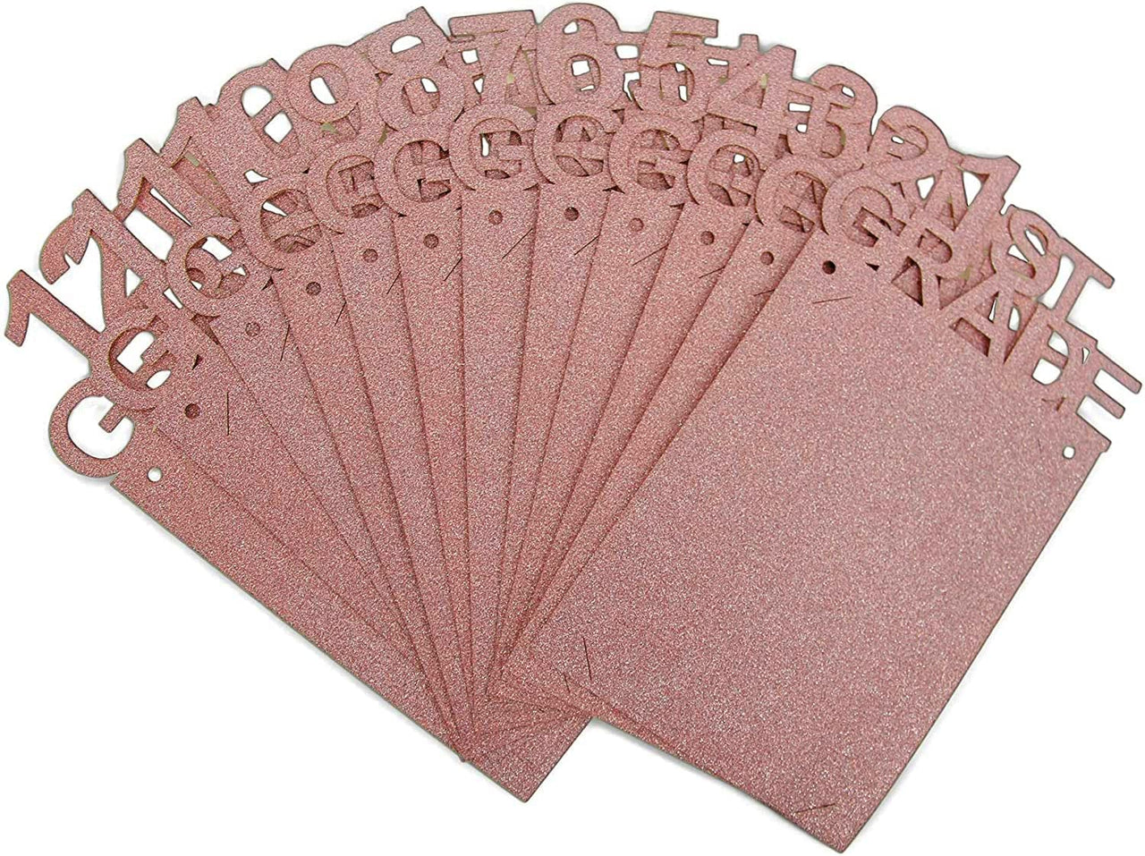 Graduation Photo Banner for 2025 Party Decorations,K-12 School Pictures FC