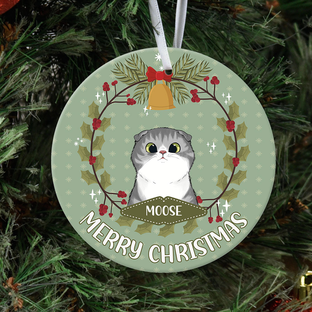 Fluffy Cat - Personalized Christmas Decorative Ornament AE