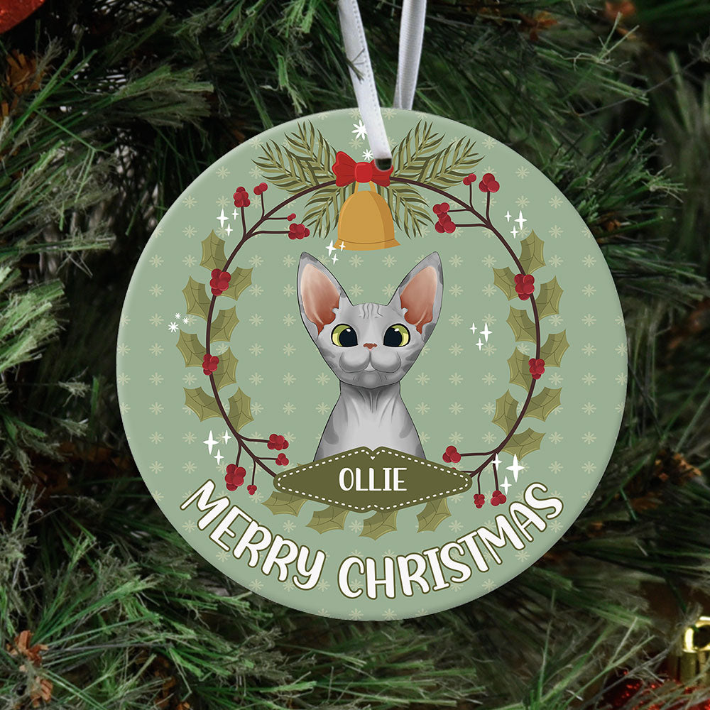 Fluffy Cat - Personalized Christmas Decorative Ornament AE