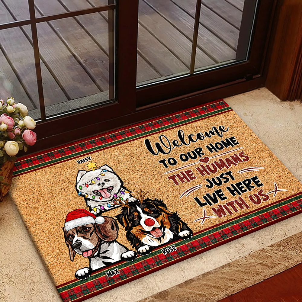 Personalized  Dog Cat Welcome To Our Home Christmas Doormat, House Decor AB