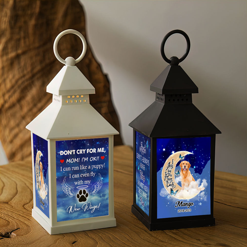 Custom Dog Photo Dont cry for me Memorial Lantern II, Pet Memorial Gift JonxiFon