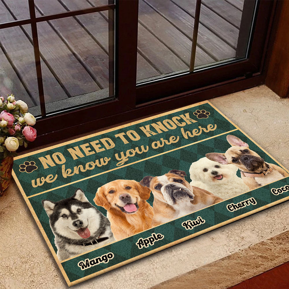 Personalized No Need To Knock Dog Cat Welcome House Doormat, Gift For Pet Lovers AB