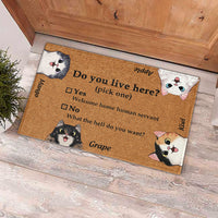 Thumbnail for Do You Live Here Cat Personalized Doormat, Gift For Cat lovers JonxiFon