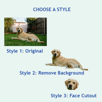 Thumbnail for Personalized Magnet With Face, Graduation Decorations 2024 Gift, Fridge Magnet FC