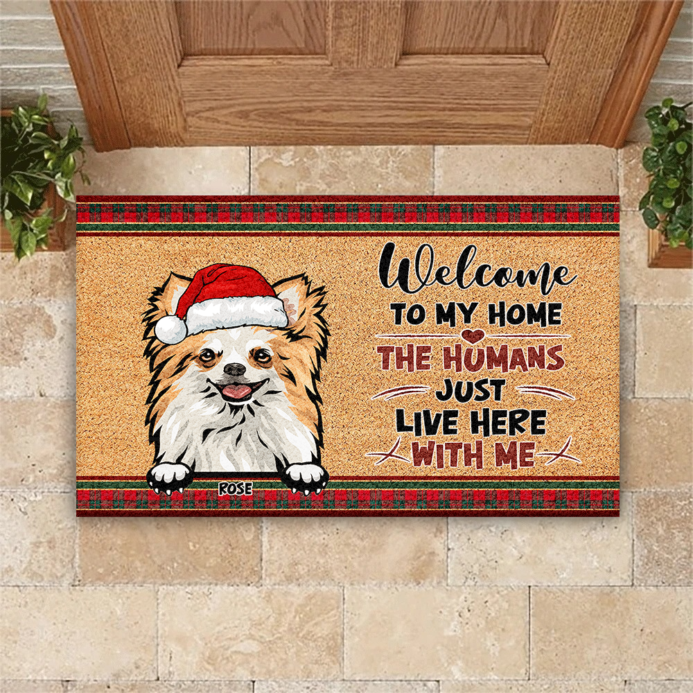 Personalized  Dog Cat Welcome To Our Home Christmas Doormat, House Decor AB