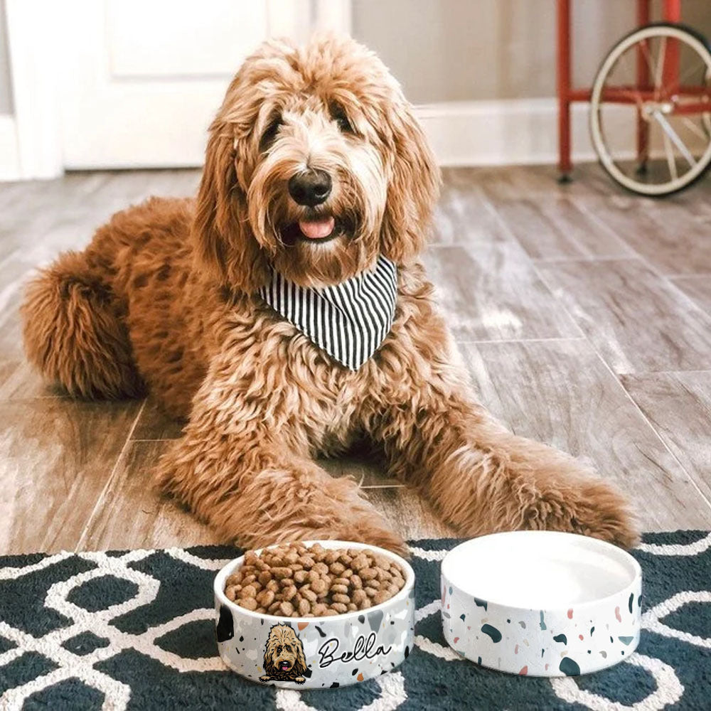 Boho Chic Terrazzo Pet Ceramic Bowl, Dog Lover Gift Printway