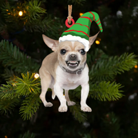 Thumbnail for Pet Upload Photo Christmas Custom Shape Acrylic Ornament, Gift for Cat, Dog Lovers AE