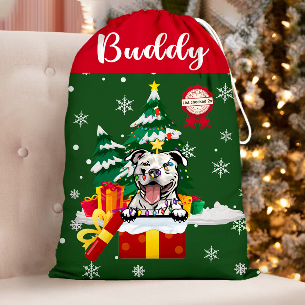 Christmas Tree Gift Delivery Santa Sack, Christmas Gift For Children & Pets AB