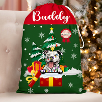 Thumbnail for Christmas Tree Gift Delivery Santa Sack, Christmas Gift For Children & Pets AB