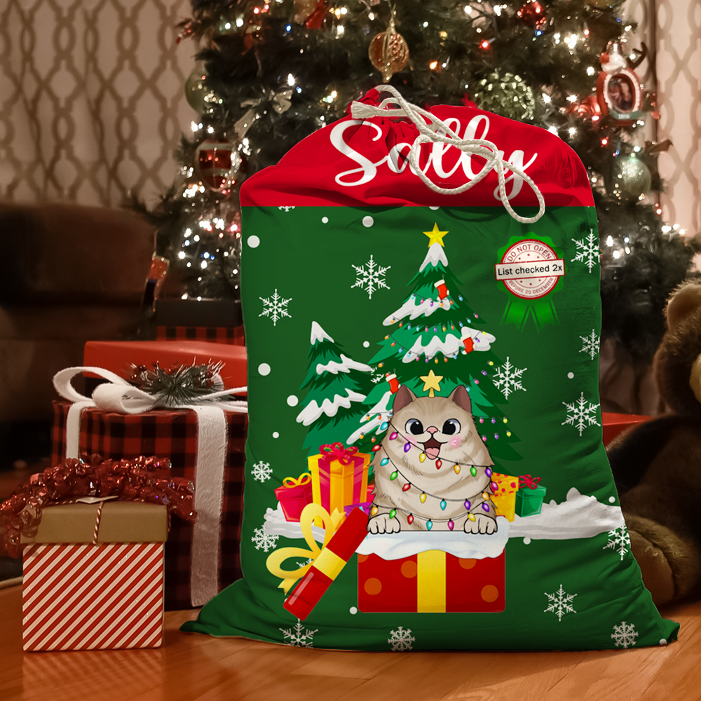 Christmas Tree Gift Delivery Santa Sack, Christmas Gift For Children & Pets AB